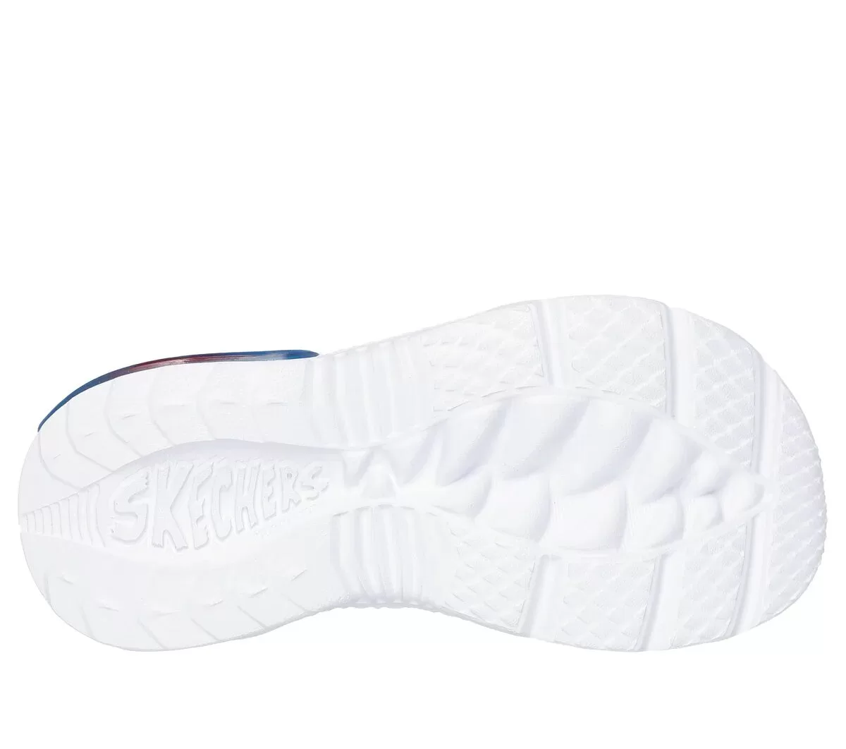 Creature-Splash – Bugtacular Creature-Splash – Bugtacular